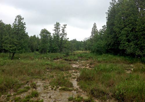 photo_five
